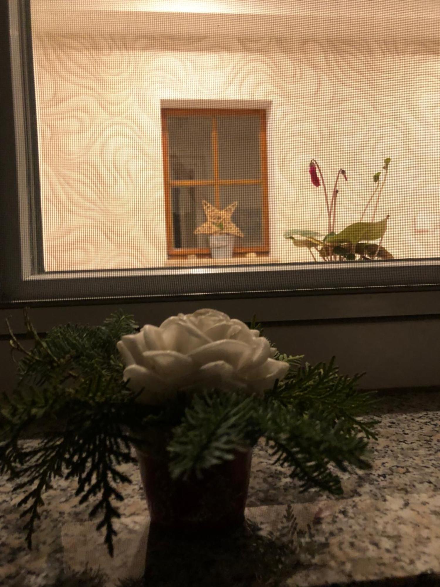 Dirks Schmuckstuck Villa Weisswasser Esterno foto